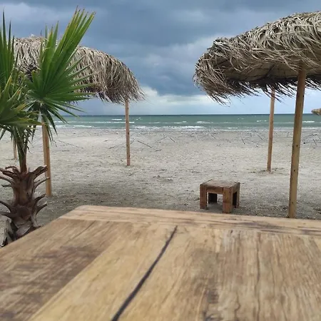 Mihai Mamaia Nord *